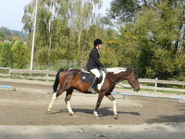 Babie Lato 2016
